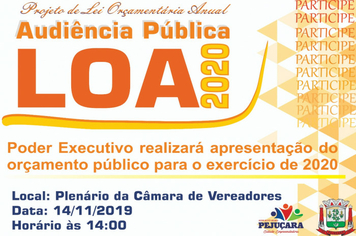 Poder Executivo fará audiência pública sobre a LOA 2020