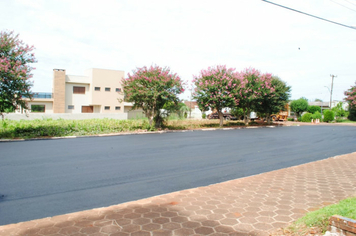 Foto - Obra de asfalto vai promover desenvolvimento e qualidade de vida em Pejuçara