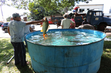 Foto - Pejuçara realiza Feira do Peixe vivo na praça