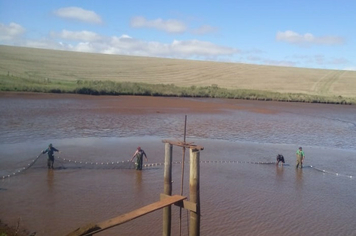 Foto - Pejuçara realiza Feira do Peixe vivo na praça