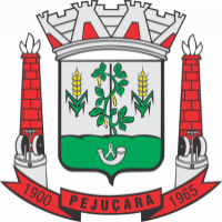 Prefeitura Municipal  de Pejuçara
