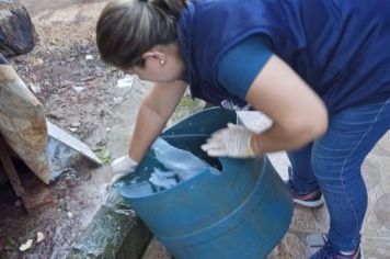 Pejuçara contra a Dengue