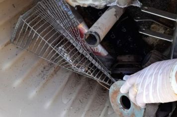 Pejuçara contra a Dengue:  Agentes de Saúde e de combate a endemias realizarão mutirão nesta semana