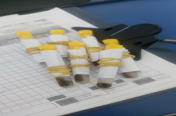 Ação de saúde busca bloquear proliferação do mosquito da Dengue