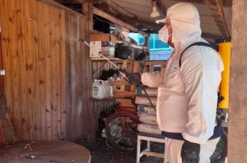 Secretaria Municipal de Saúde intensifica trabalhos de combate ao Aedes aegypti