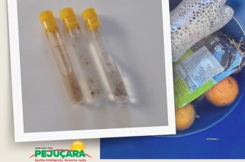 TODOS CONTRA A DENGUE: Mutirão da Secretaria de Saúde visa eliminar focos do mosquito Aedes aegypti