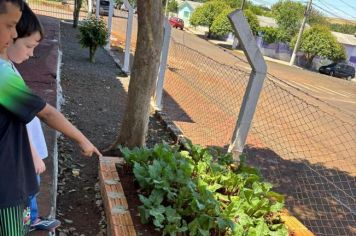 Projeto de horta escolar é desenvolvido durante oficina de Educação Ambiental