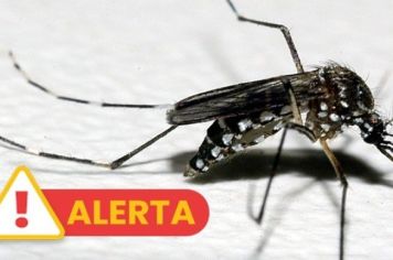 Temporada de verão acende alerta para a dengue no Estado