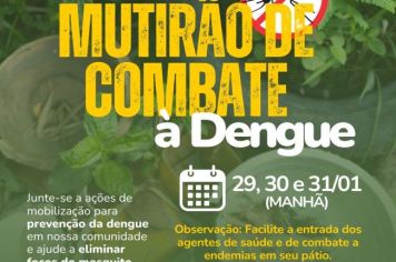 Mutirão de Combate à Dengue