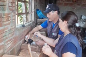 Dengue: Secretaria Municipal de Saúde instala mais armadilhas ovitrampas
