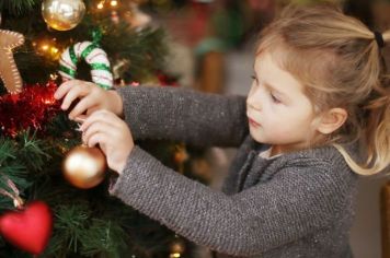 “Adote Uma Árvore de Natal” tem inscrições prorrogadas até o dia 25 de novembro