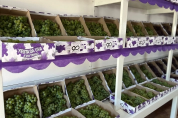 Confira a programação da 74ª Festa da Uva e do Trigo 