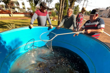 Feira do Peixe Vivo