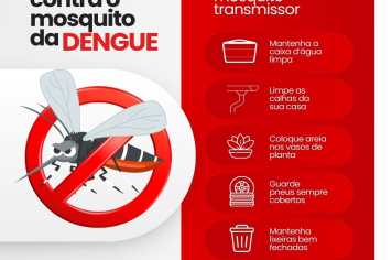 Dengue: Fique atento (a) para as principais medidas de prevenção!