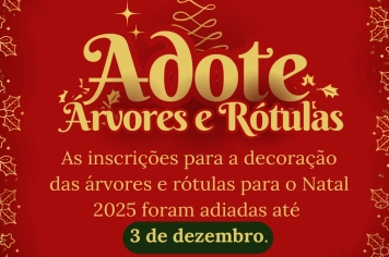 Preparativos para o Natal 2025