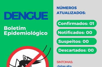 Dengue: Confira o boletim