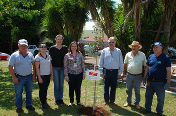 Pejuçara recebe Projeto de Arborização Urbana da RGE