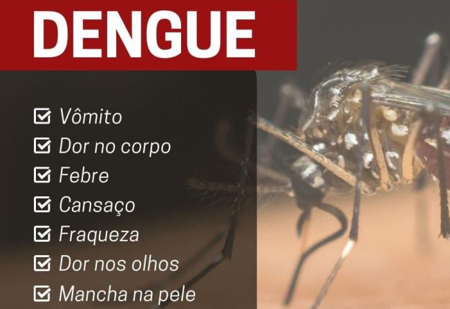 Cuidados com a dengue são reforçados pela Secretaria de Saúde