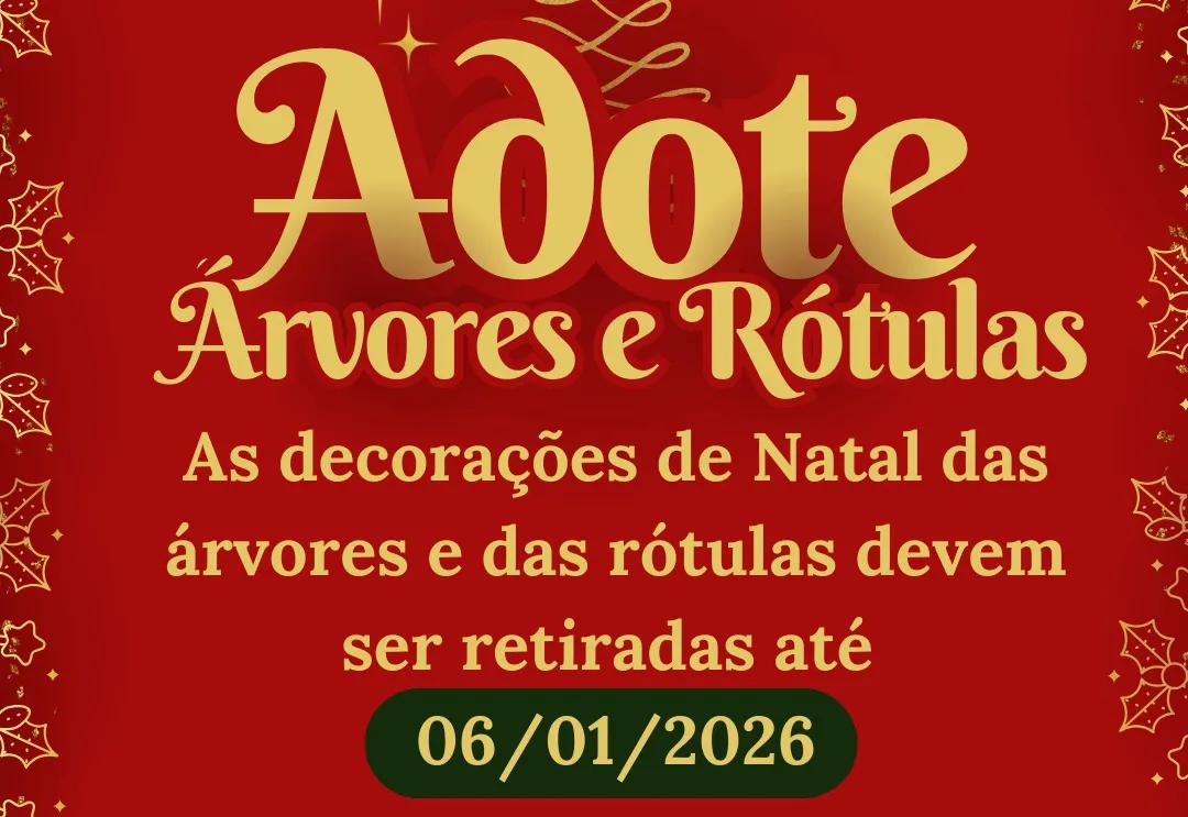 Decorações de Natal: retirada até 6 de janeiro de 2026