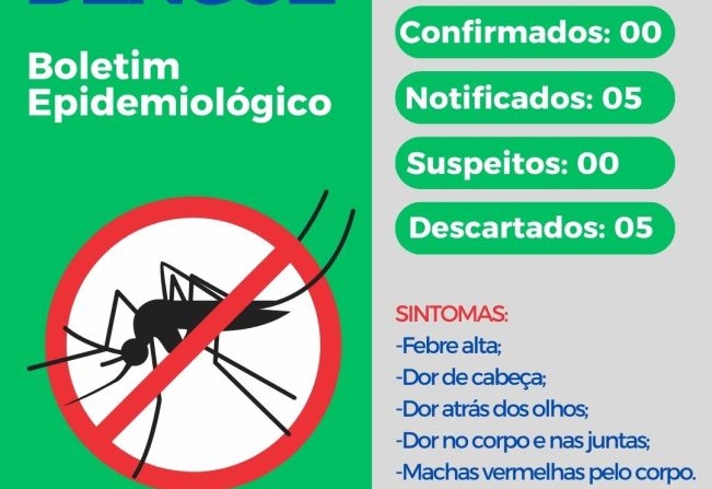 Confira o boletim Dengue desta semana
