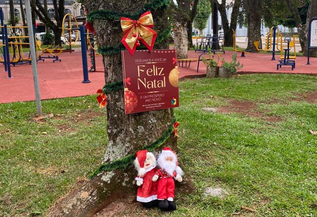 Natal Participativo: Ornamentação de árvores e rótulas pode ser realizada até hoje