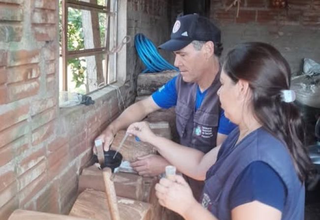 Dengue: Secretaria Municipal de Saúde instala mais armadilhas ovitrampas