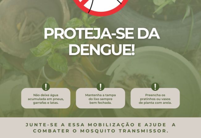 Dengue: Cuidados