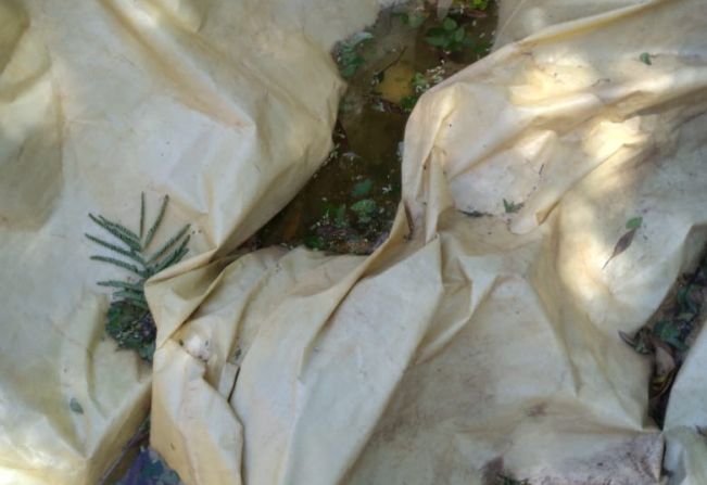 Hoje tem mais mutirão de combate ao Aedes aegypti