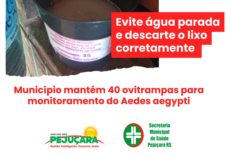 Monitoramento do Aedes aegypti no município 