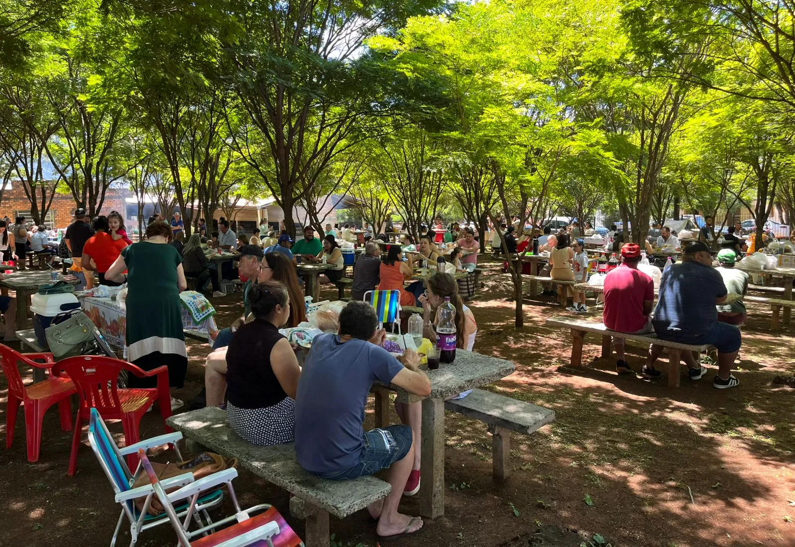 74ª Festa da Uva e do Trigo reúne comunidade e celebra tradição em Pejuçara