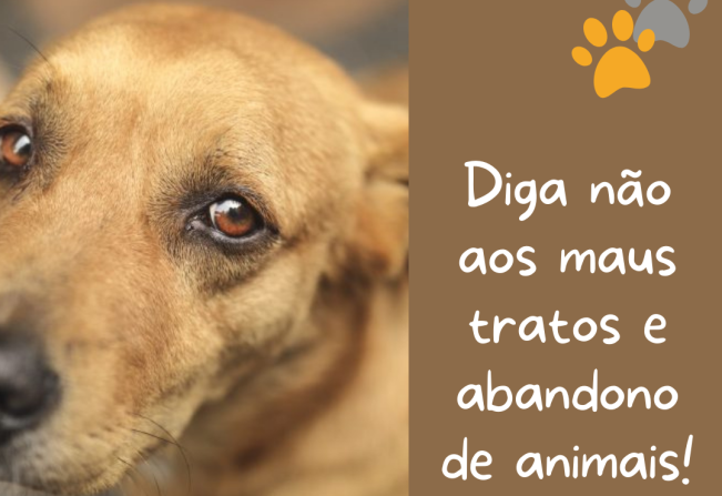 Respeitar os animais é um dever de todos nós!