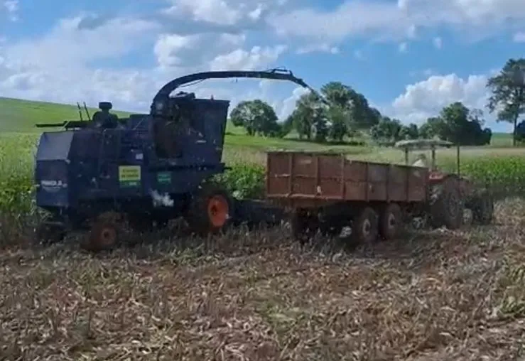 Secretaria de Agricultura apoia produção de silagem para produtores rurais