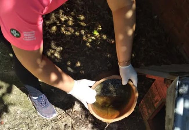 PEJUÇARA SEM MOSQUITO! 