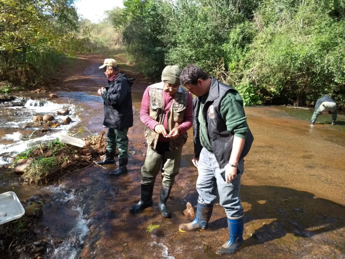 Agentes do CEVS atuam em Pejuçara
