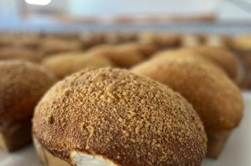 Foto - 73ª Festa da Uva e do Trigo de Pejuçara