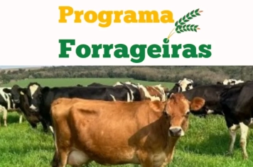 Hoje é o último dia para aderir ao Programa Forrageiras 2025/2026 da SDR/RS