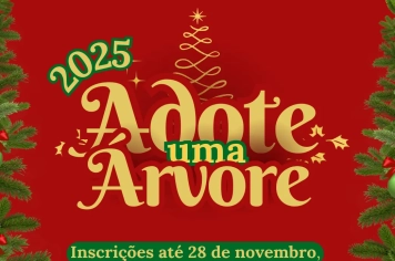 As inscrições para decorar as árvores no Natal 2025 encerram amanhã (28)