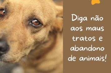 Diga não aos maus tratos de animais!