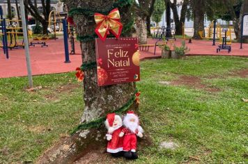 Natal Participativo: Ornamentação de árvores e rótulas pode ser realizada até hoje