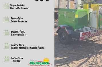 Cronograma de recolhimento de galhos