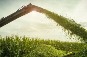 Auxílio na produção de silagem em pequenas propriedades rurais