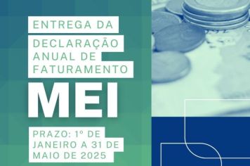 Declaração Anual de Faturamento MEI- Saiba como fazer