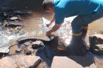 Secretaria da Agricultura e Conselho Municipal do Meio Ambiente distribuem mais de 4 mil alevinos em arroios do município