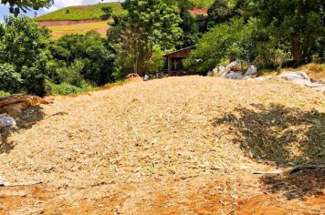 Inscrições abertas para produtores interessados no auxílio à produção de silagem