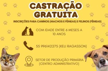 Castração gratuita para caninos (machos e fêmeas) e felinos (fêmeas)