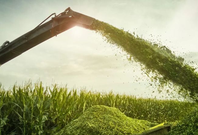 Auxílio na produção de silagem em pequenas propriedades rurais