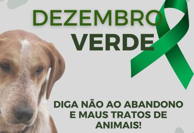 Dezembro Verde