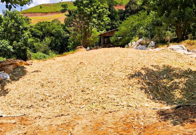 Inscrições abertas para produtores interessados no auxílio à produção de silagem