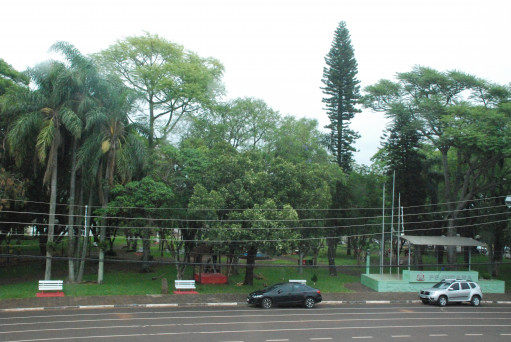 Comissão define programação para abertura oficial do Natal Iluminado de Pejuçara. 